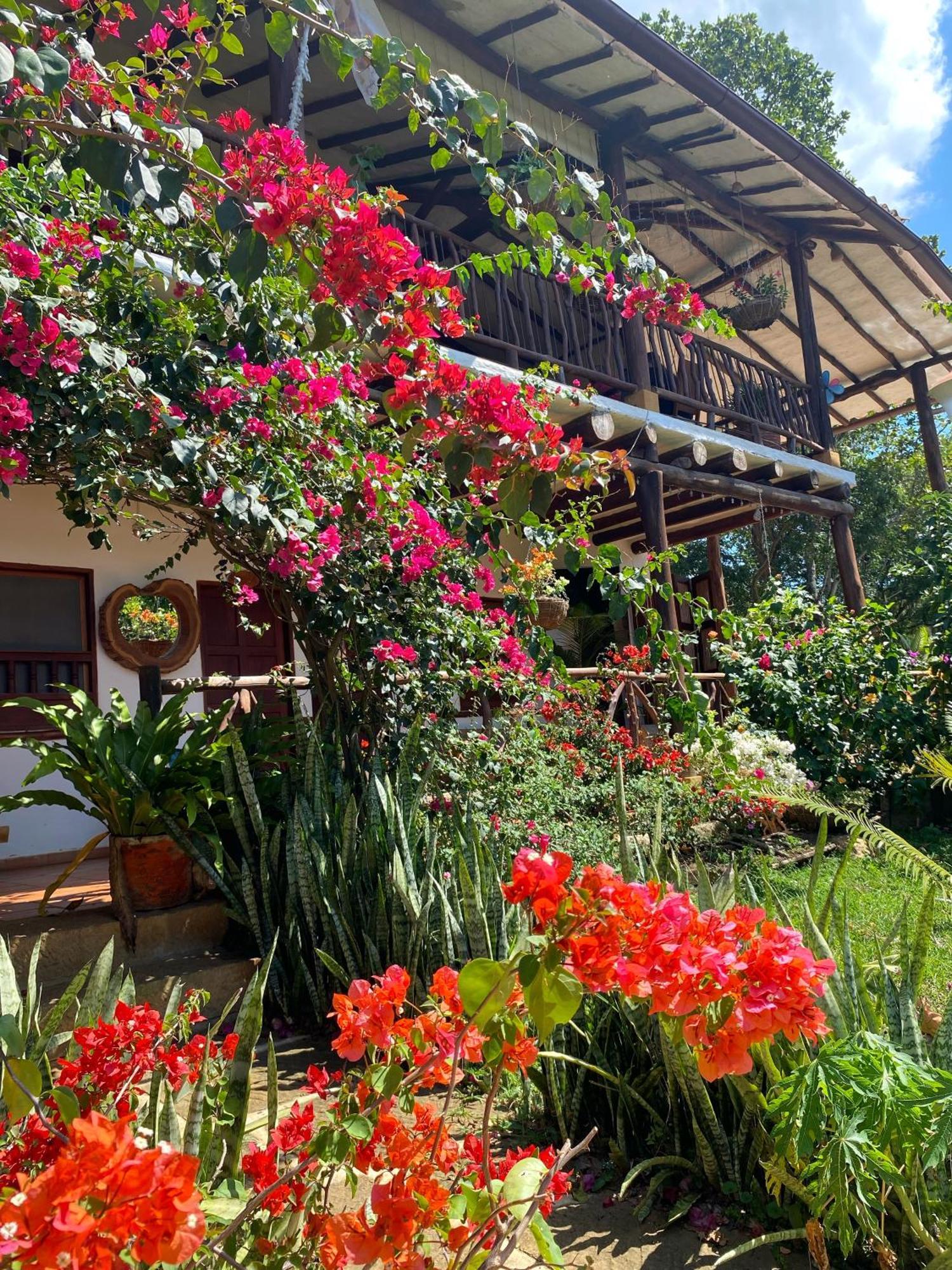 Hostal Villa San Rafael バリチャラ エクステリア 写真